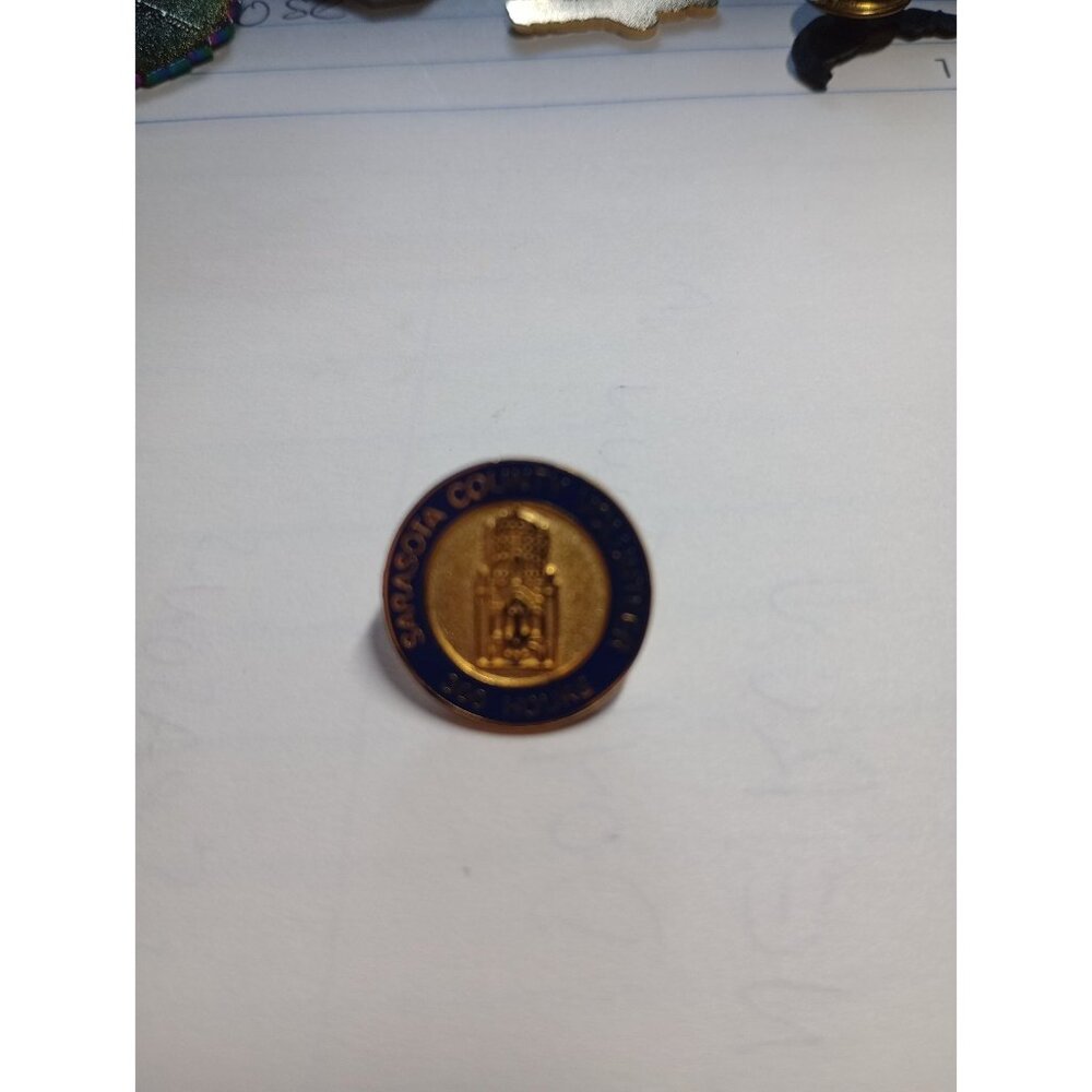 Sarasota county volunteer 300 hours pin